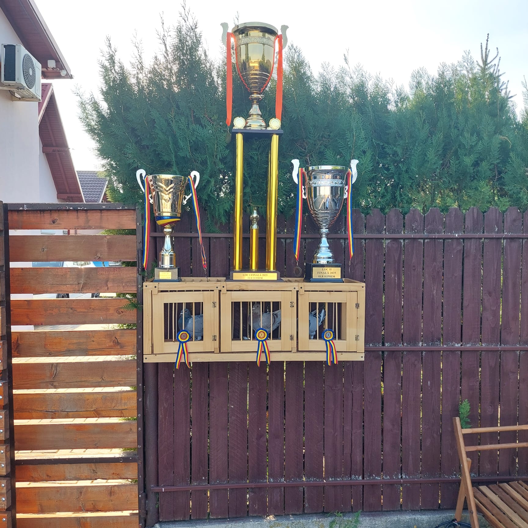 1.2.3. FINAL  RACE 2025 !