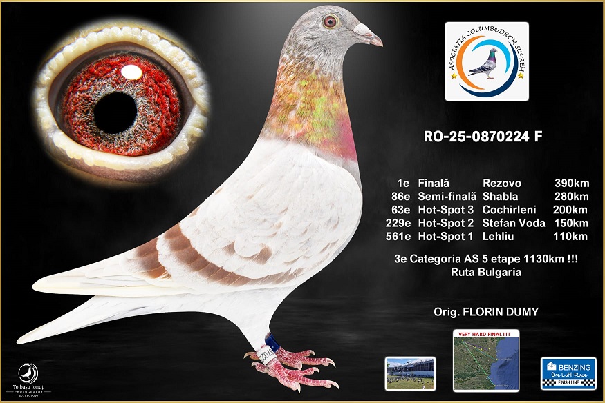 LOC 1 FINALA 2025…